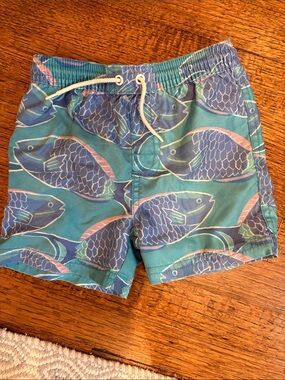 Boys tea collection swim trunks